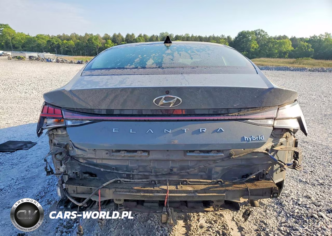 2021 Hyundai Elantra Limited VIN:KMHLN4AJ4MU005113 - 6