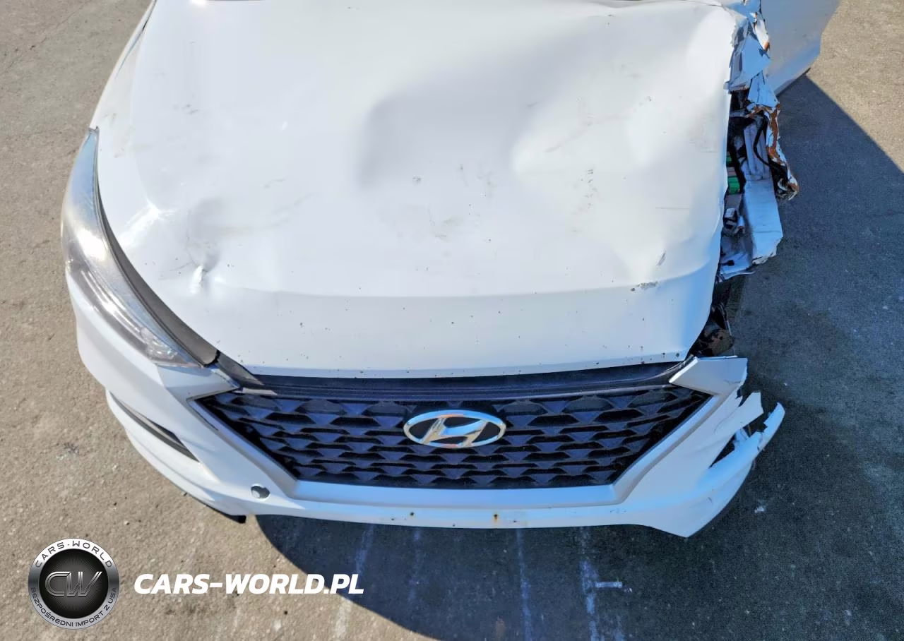 2019 Hyundai Tucson Value VIN:KM8J3CA42KU876493 - 12
