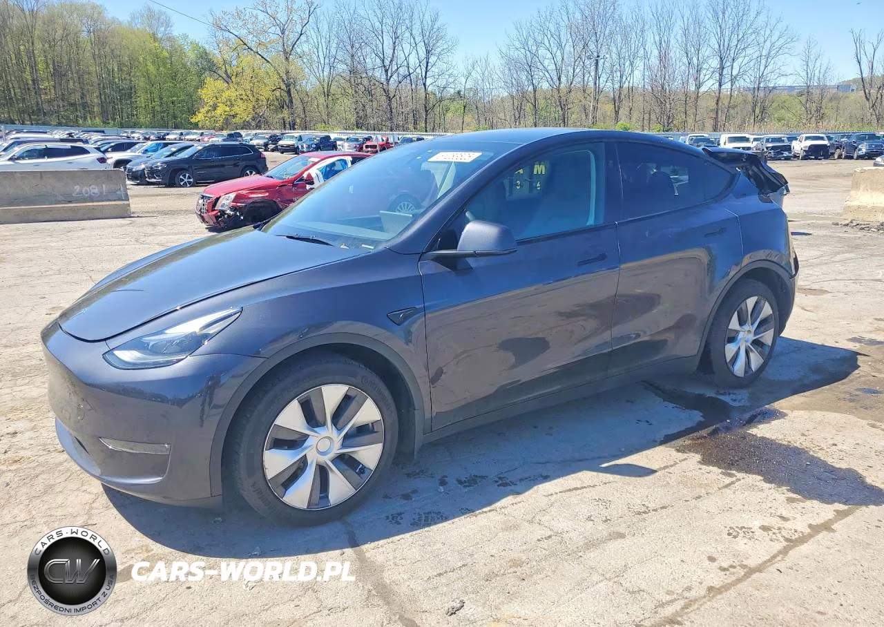 2024 Tesla Model Y VIN:7SAYGDEE4RA330037 - 1