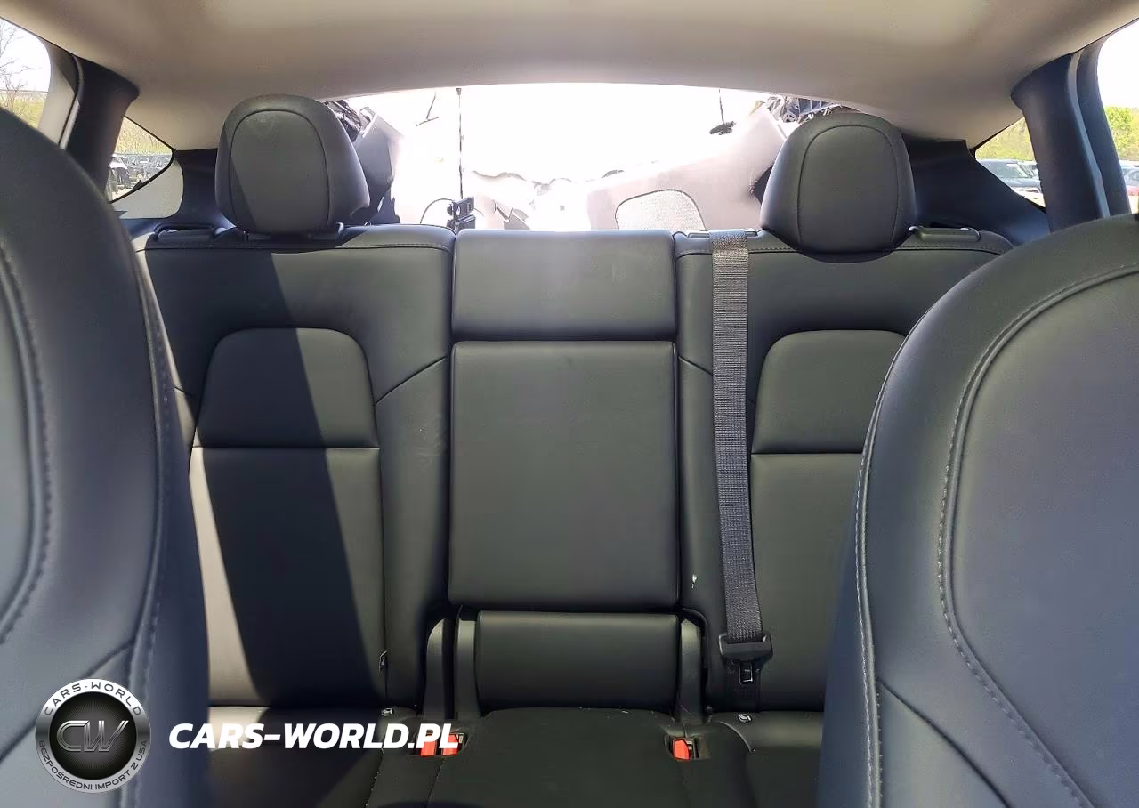 2024 Tesla Model Y VIN:7SAYGDEE4RA330037 - 10