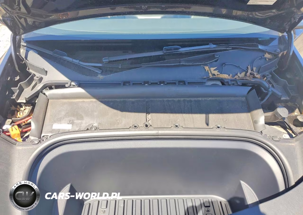 2024 Tesla Model Y VIN:7SAYGDEE4RA330037 - 12