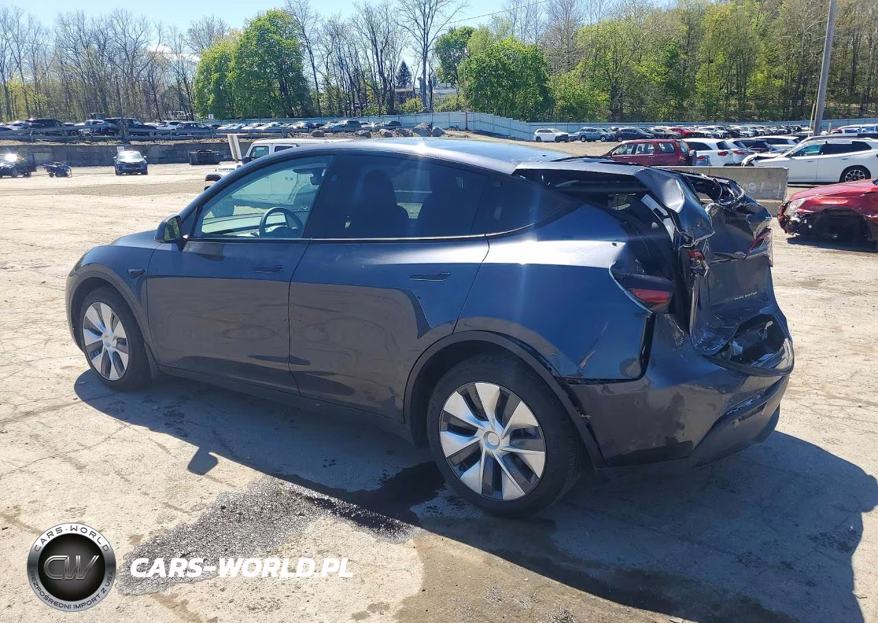 2024 Tesla Model Y VIN:7SAYGDEE4RA330037 - 2