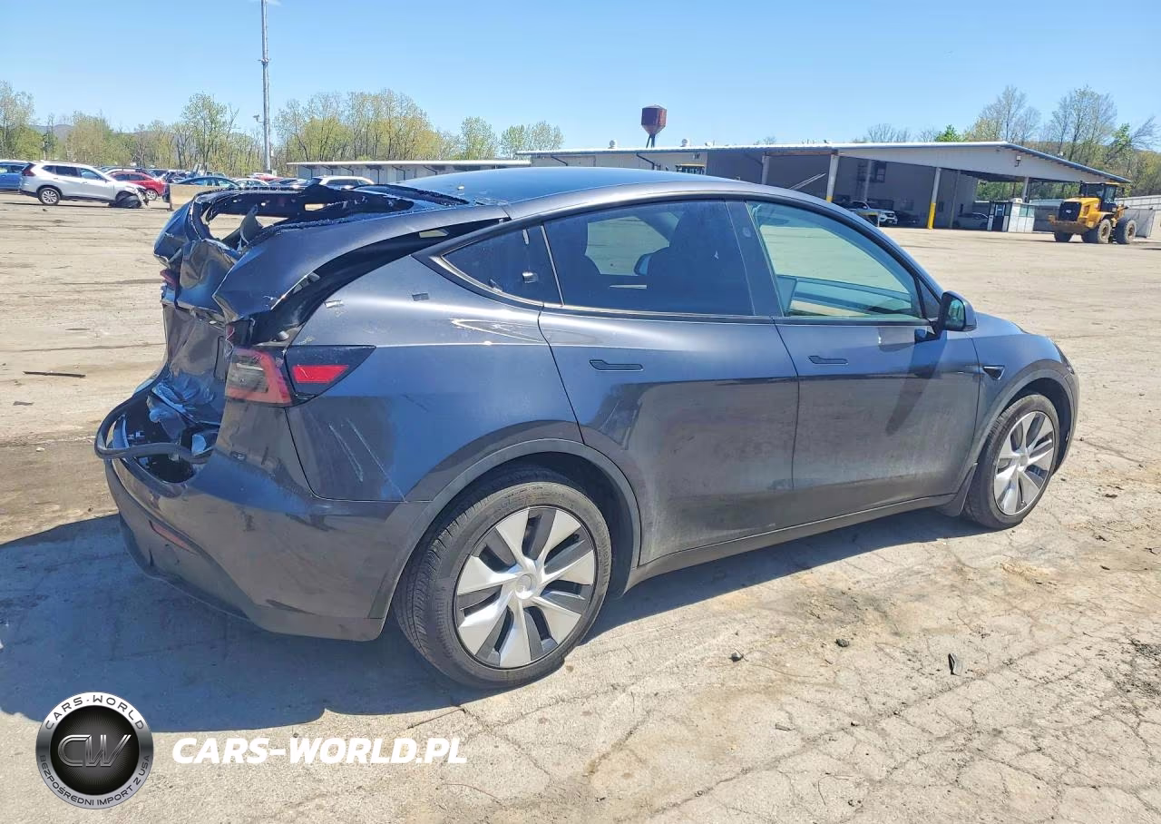 2024 Tesla Model Y VIN:7SAYGDEE4RA330037 - 3