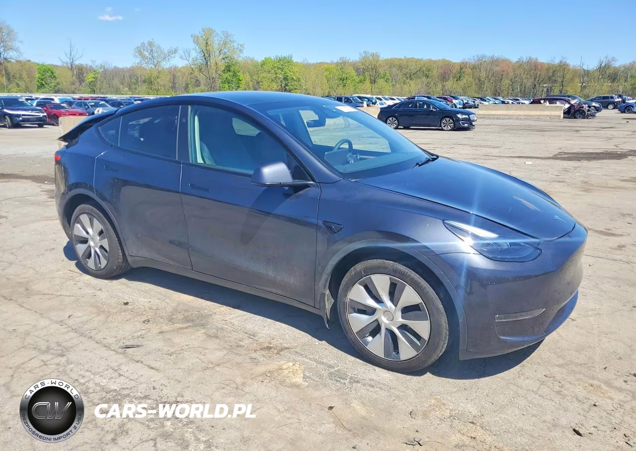 2024 Tesla Model Y VIN:7SAYGDEE4RA330037 - 4