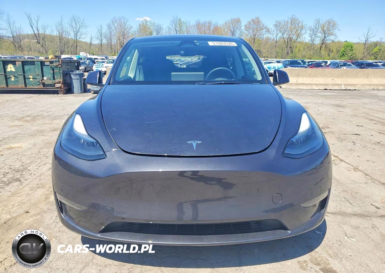 2024 Tesla Model Y VIN:7SAYGDEE4RA330037 - 5