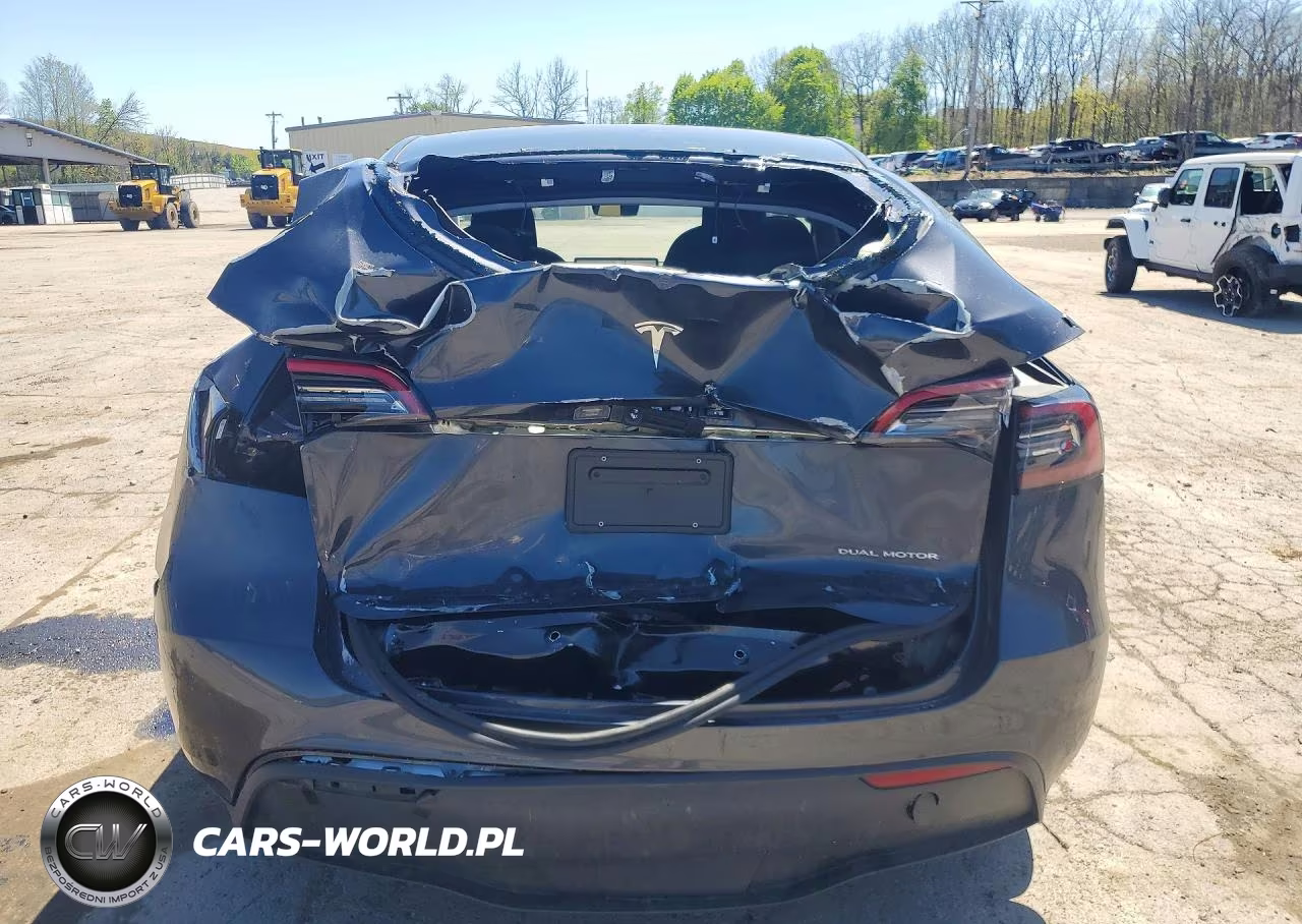 2024 Tesla Model Y VIN:7SAYGDEE4RA330037 - 6