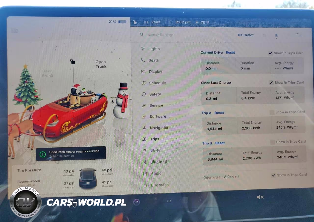 2024 Tesla Model Y VIN:7SAYGDEE4RA330037 - 9