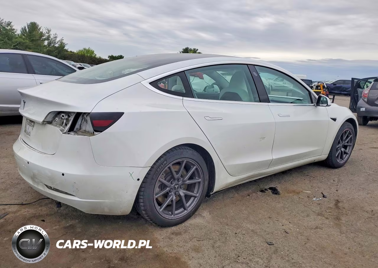 2020 Tesla Model 3 VIN:5YJ3E1EA6LF769940 - 3