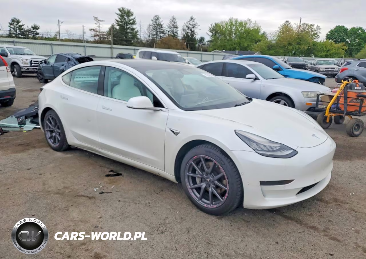 2020 Tesla Model 3 VIN:5YJ3E1EA6LF769940 - 4
