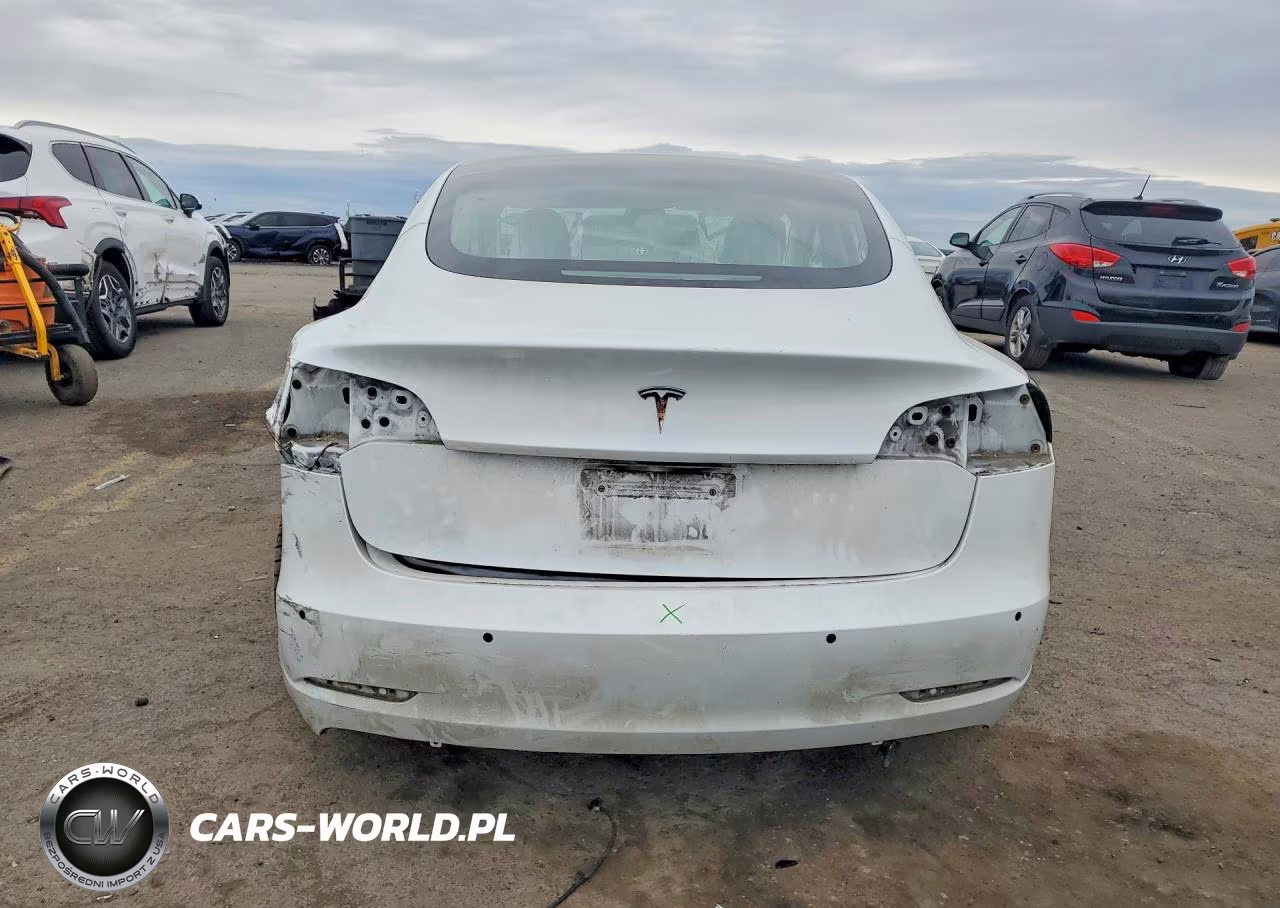 2020 Tesla Model 3 VIN:5YJ3E1EA6LF769940 - 6