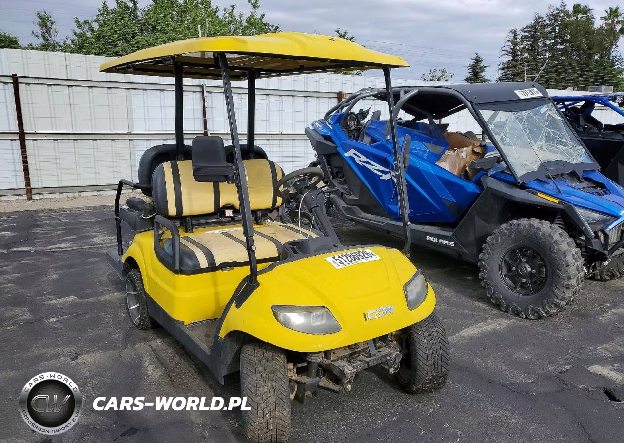 2021 Icon Golf Cart