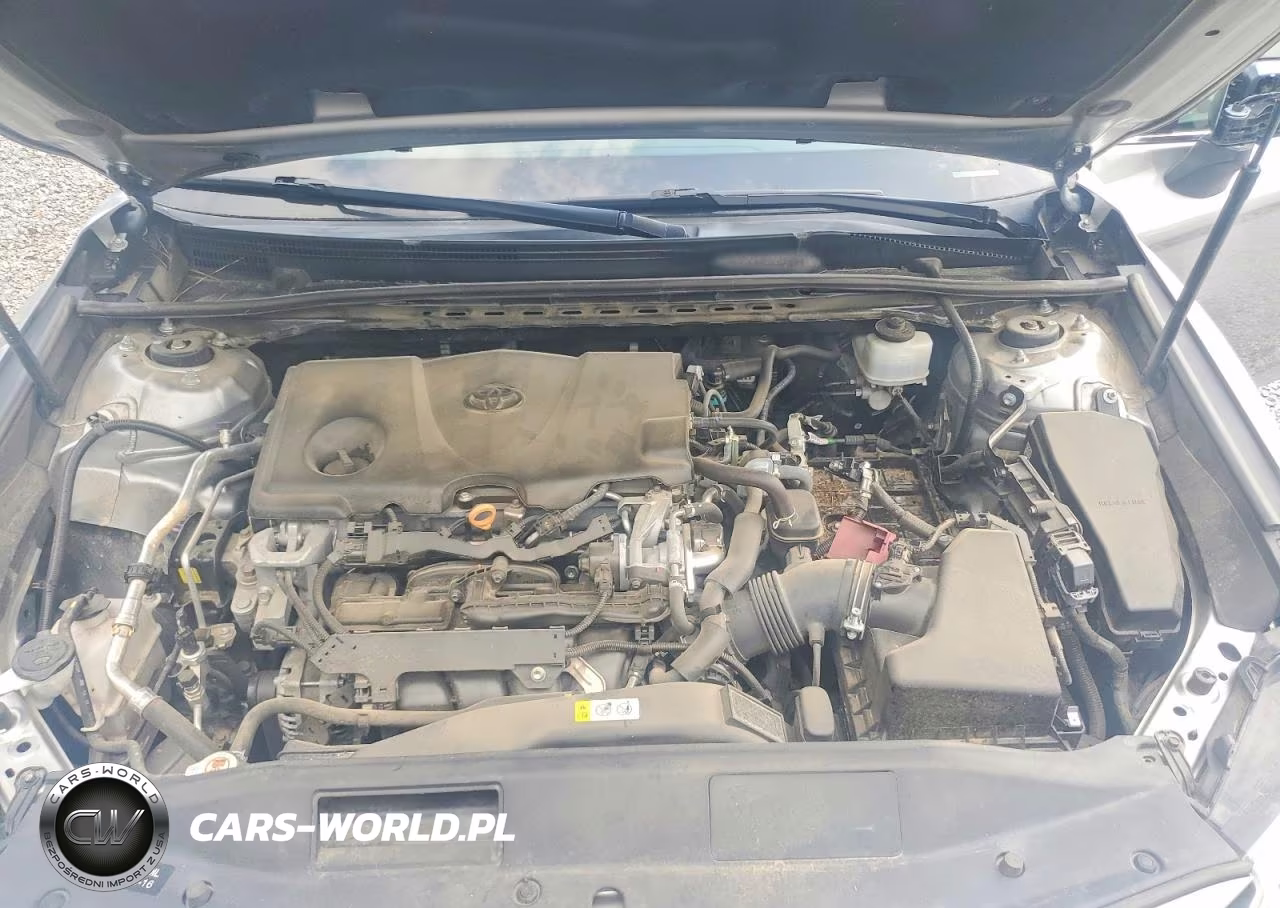 2019 Toyota Camry Le VIN:4T1B11HK6KU787755 - 11