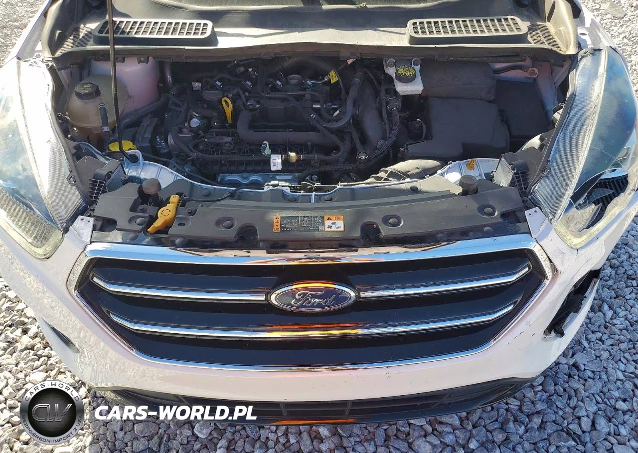 2019 Ford Escape Se VIN:1FMCU0GD5KUA36154 - 11