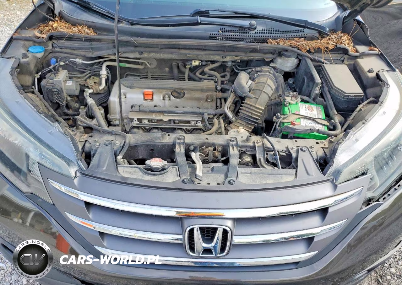 2014 Honda Cr-V Exl VIN:5J6RM4H75EL025187 - 12