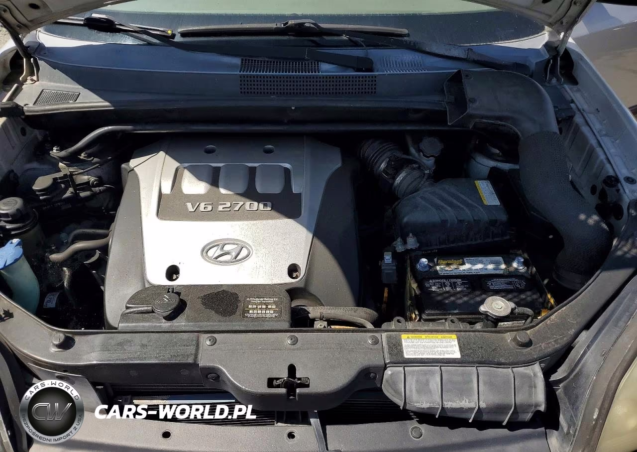 2006 Hyundai Tucson Gls (Middle) VIN:KM8JN12D76U274269 - 11