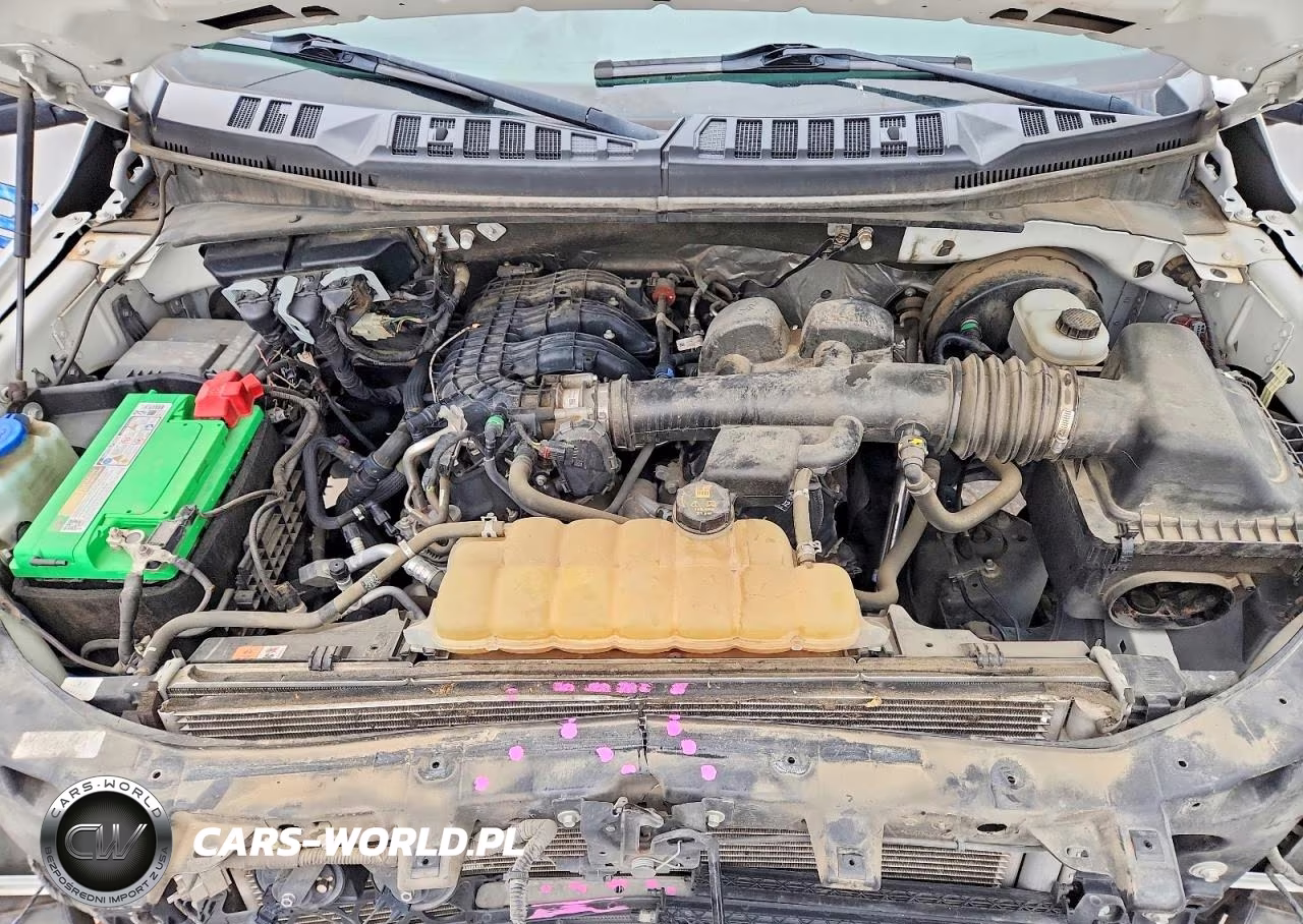 2020 Ford F150 VIN:1FTMF1CBXLKD65443 - 11
