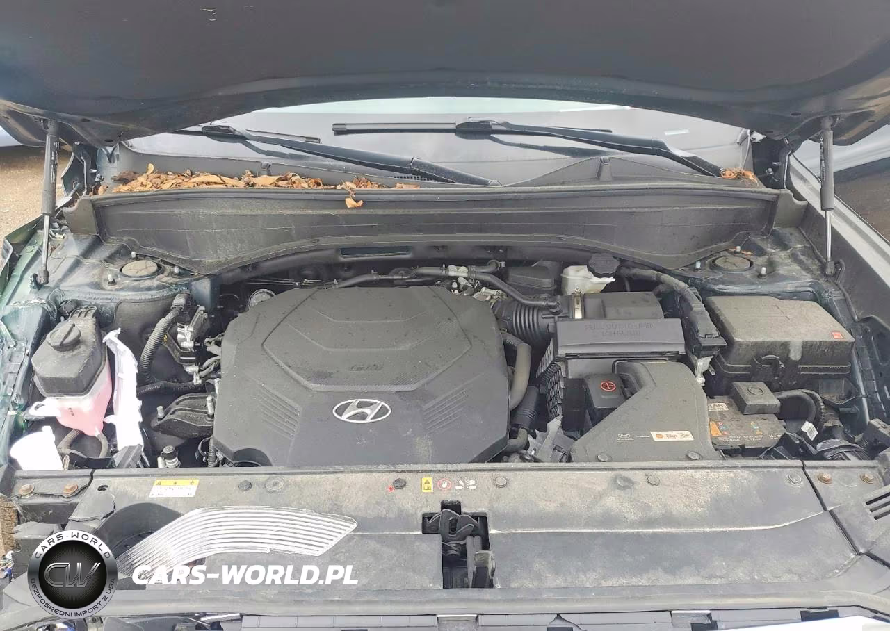 2023 Hyundai Palisade Calligraphy VIN:KM8R7DGE0PU634600 - 12