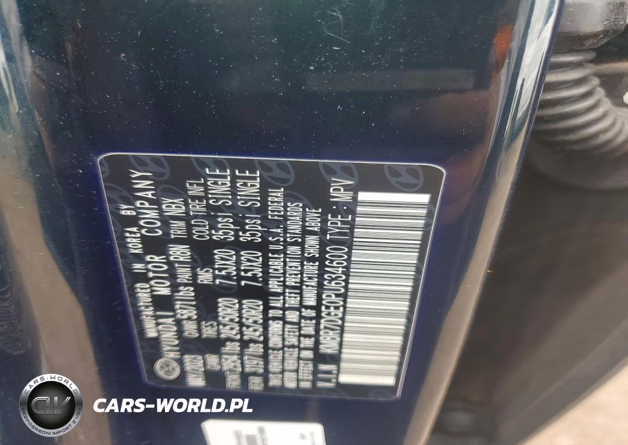 2023 Hyundai Palisade Calligraphy VIN:KM8R7DGE0PU634600 - 13