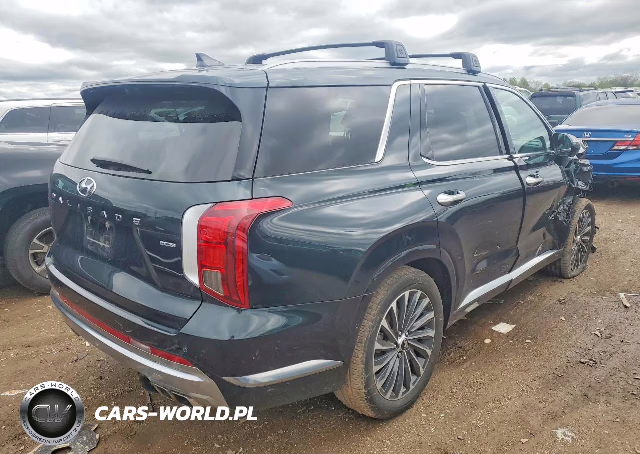 2023 Hyundai Palisade Calligraphy VIN:KM8R7DGE0PU634600 - 3