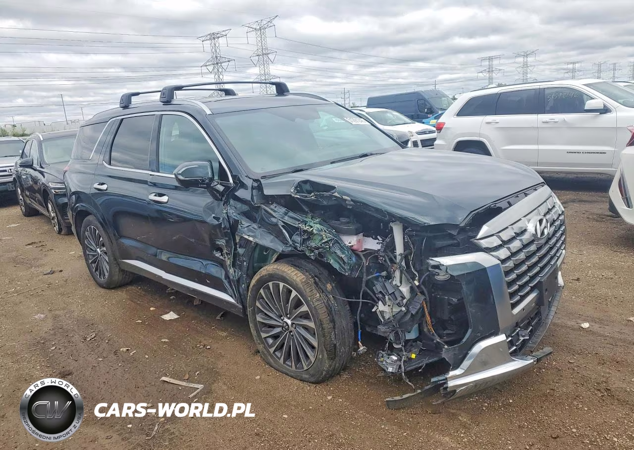 2023 Hyundai Palisade Calligraphy VIN:KM8R7DGE0PU634600 - 4