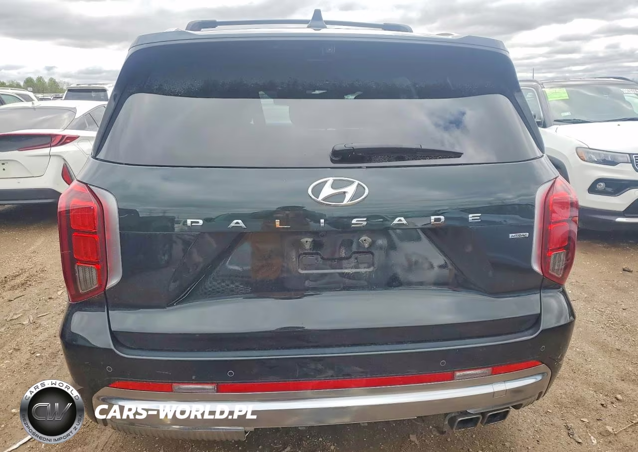 2023 Hyundai Palisade Calligraphy VIN:KM8R7DGE0PU634600 - 6
