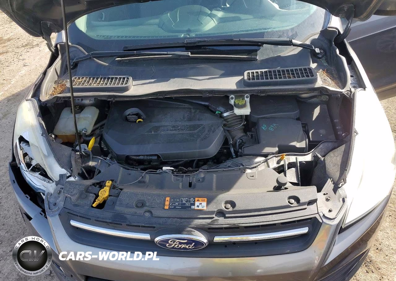 2014 Ford Escape Se VIN:1FMCU0GX4EUE09442 - 12