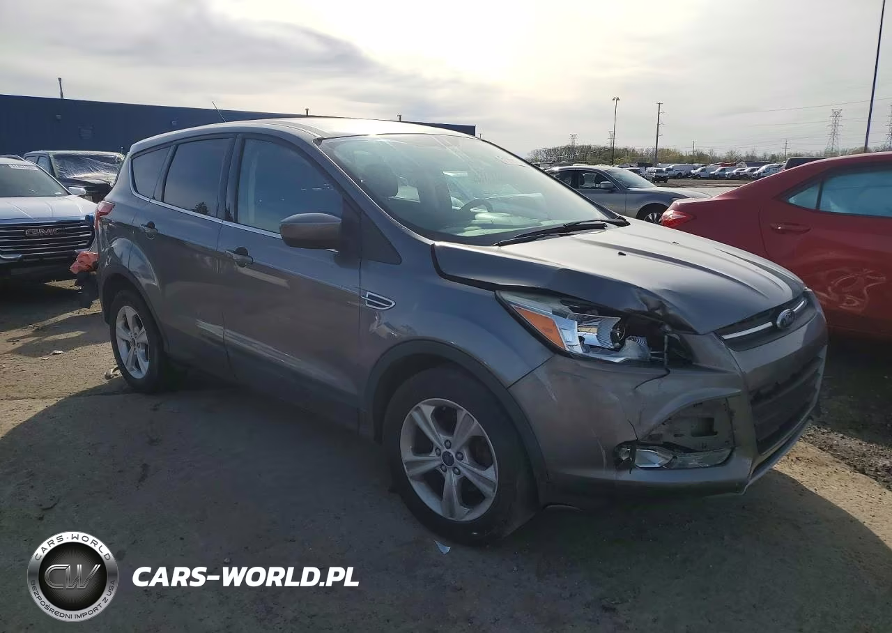 2014 Ford Escape Se VIN:1FMCU0GX4EUE09442 - 4