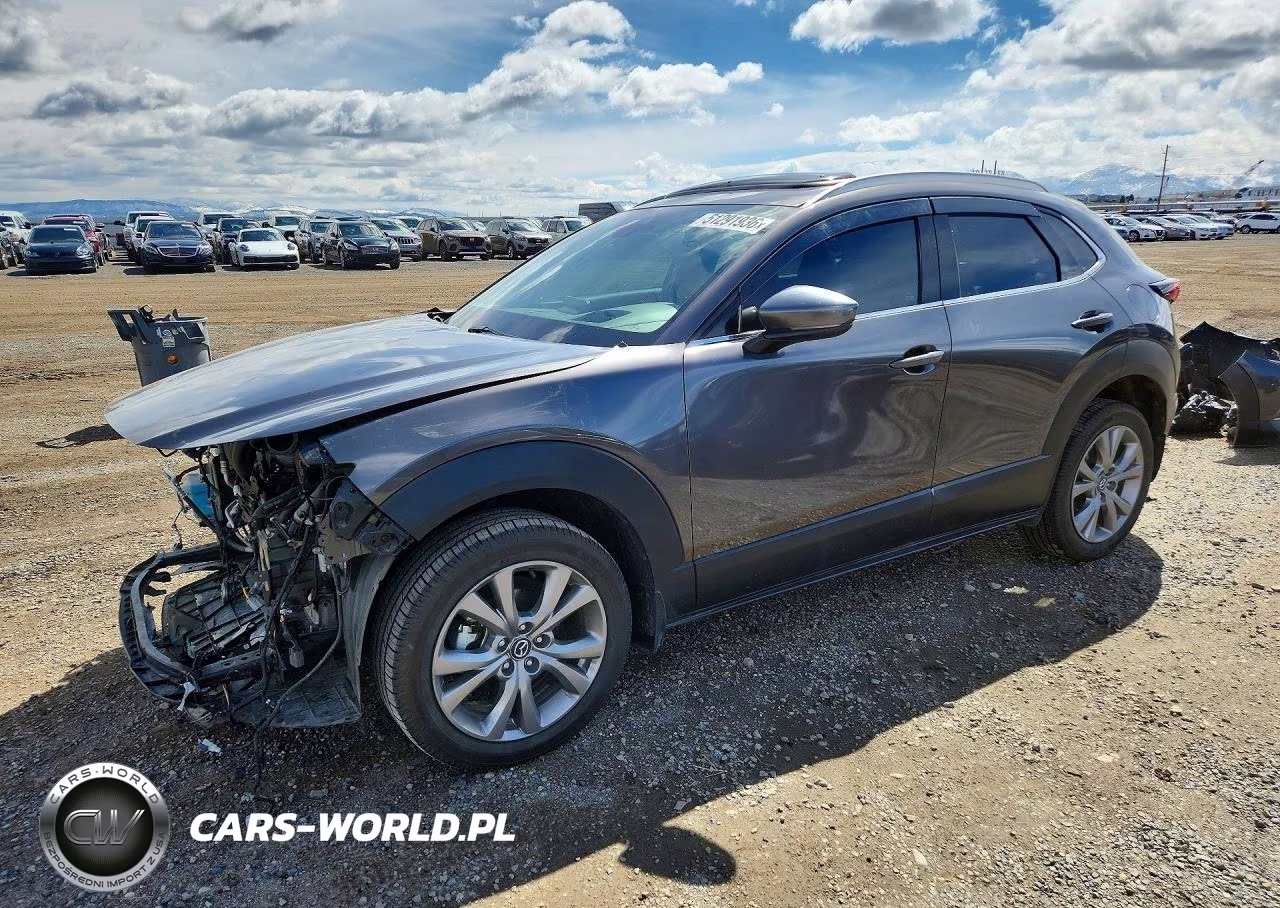 2020 Mazda Cx-30 Premium