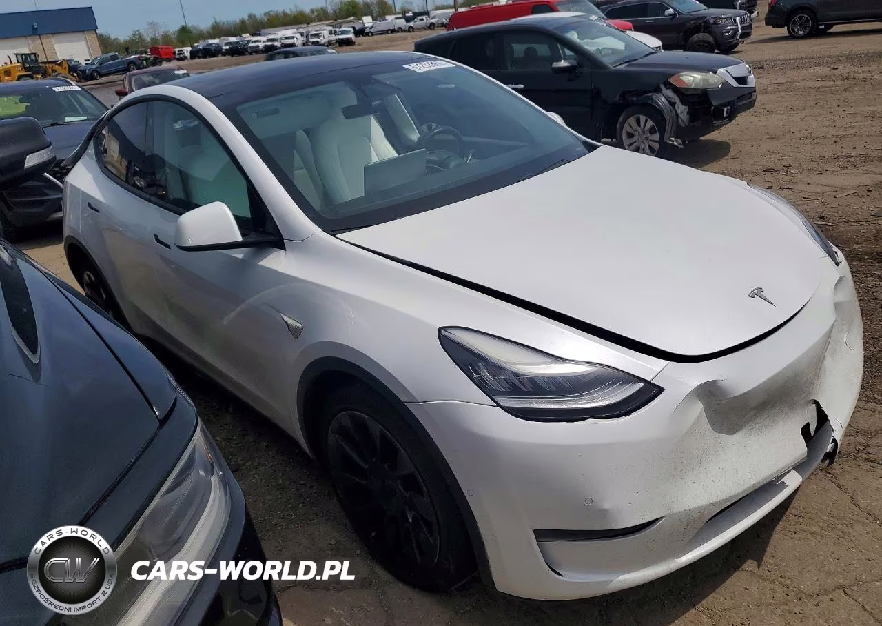 2020 Tesla Model Y VIN:5YJYGDEE8LF039550 - 4
