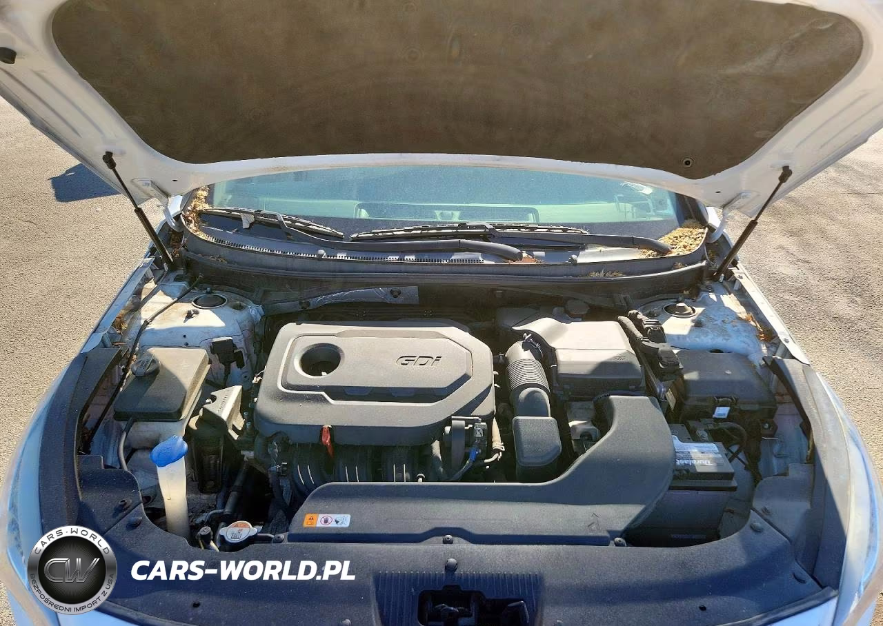 2017 Hyundai Sonata Se VIN:5NPE24AF4HH496543 - 11