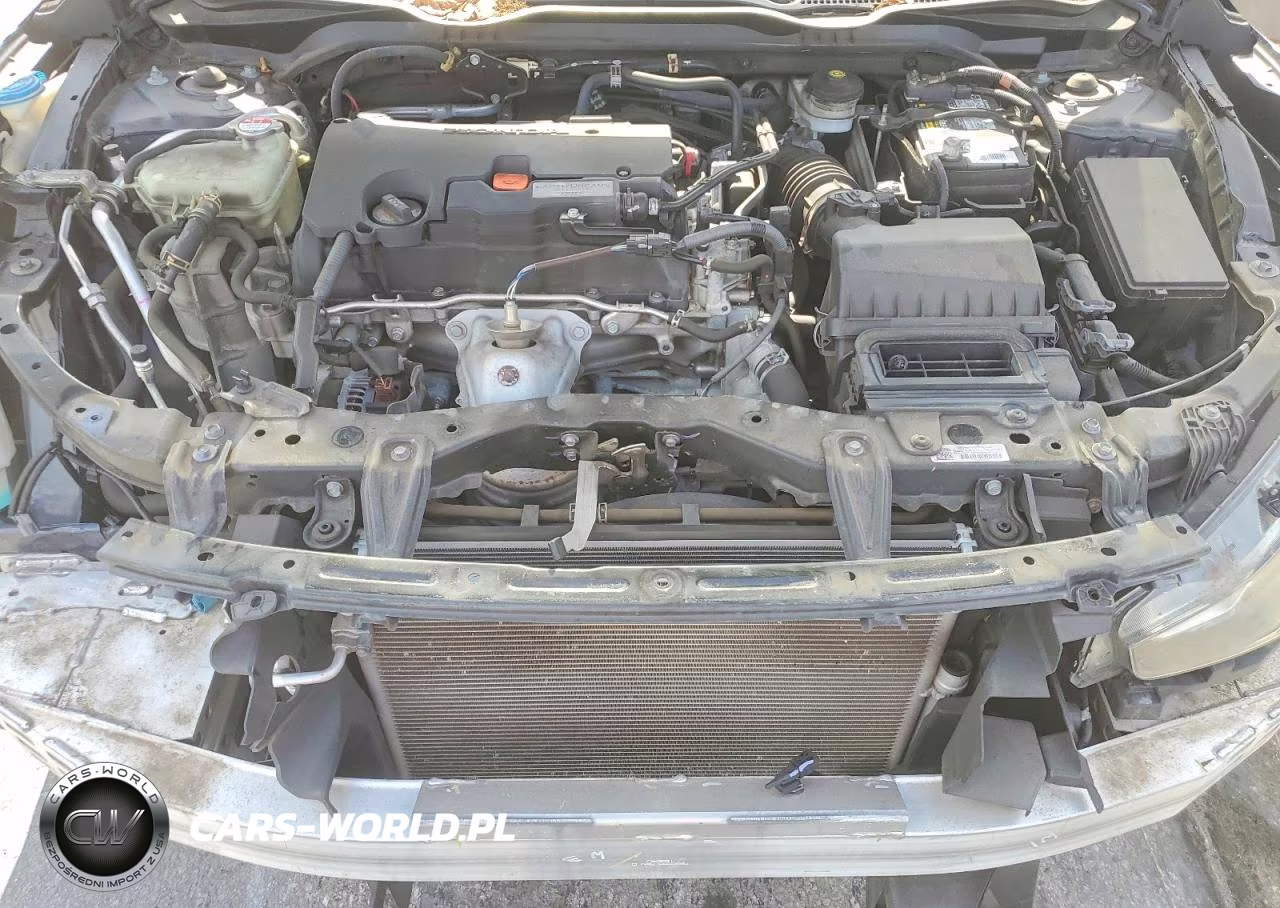 2016 Honda Civic Lx VIN:19XFC2F58GE095926 - 11