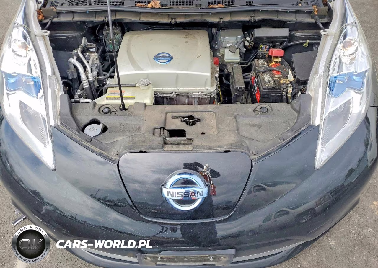 2015 Nissan Leaf S VIN:1N4AZ0CP6FC305955 - 11