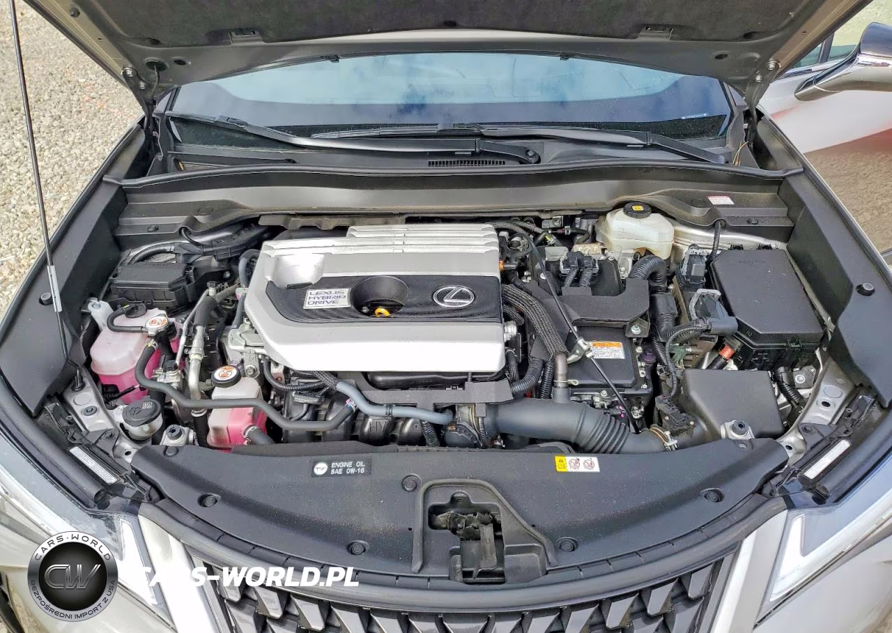 2020 Lexus Ux 250H VIN:JTHP9JBH3L2023678 - 12