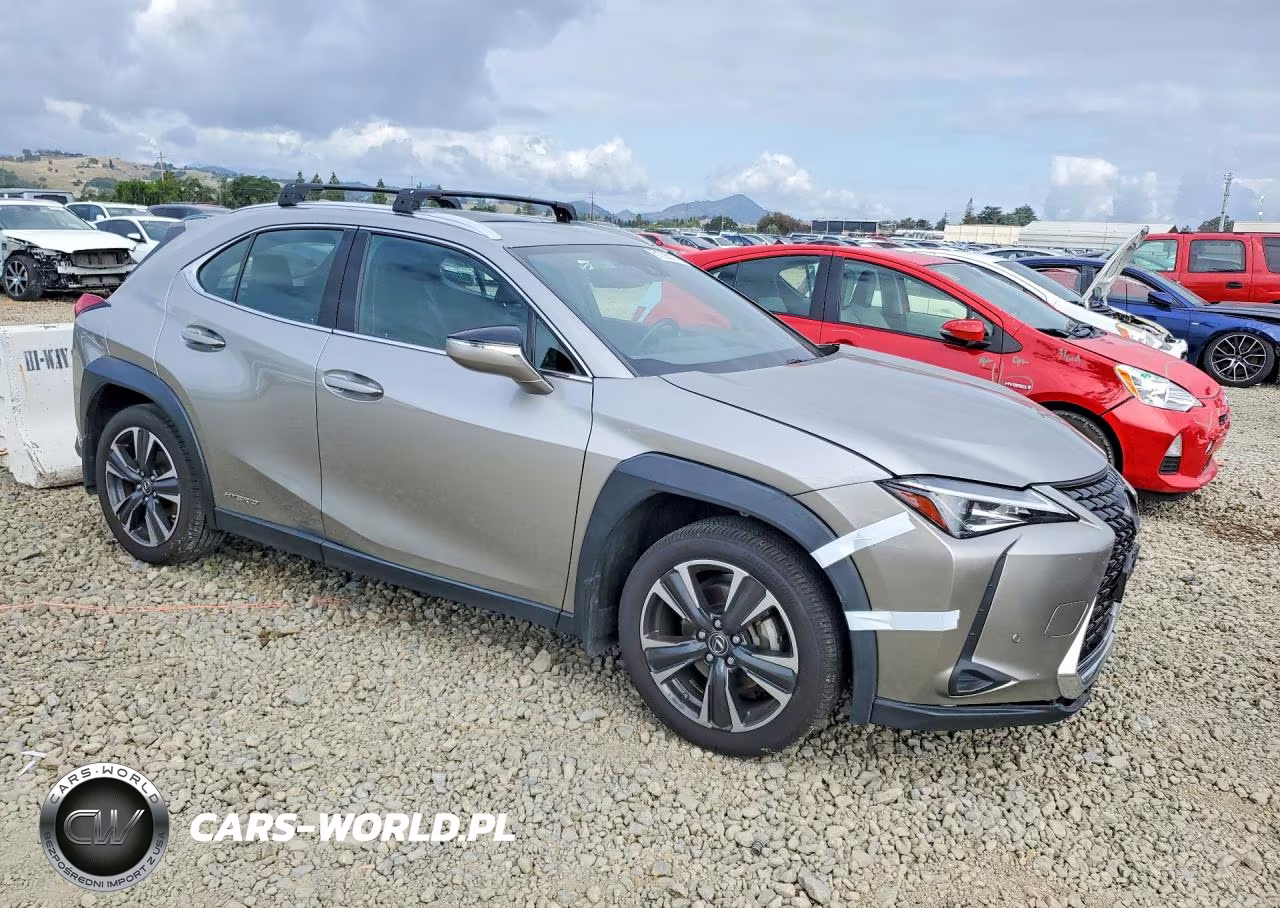 2020 Lexus Ux 250H VIN:JTHP9JBH3L2023678 - 4