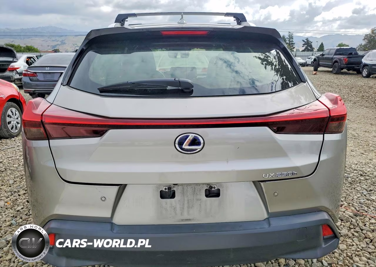 2020 Lexus Ux 250H VIN:JTHP9JBH3L2023678 - 6