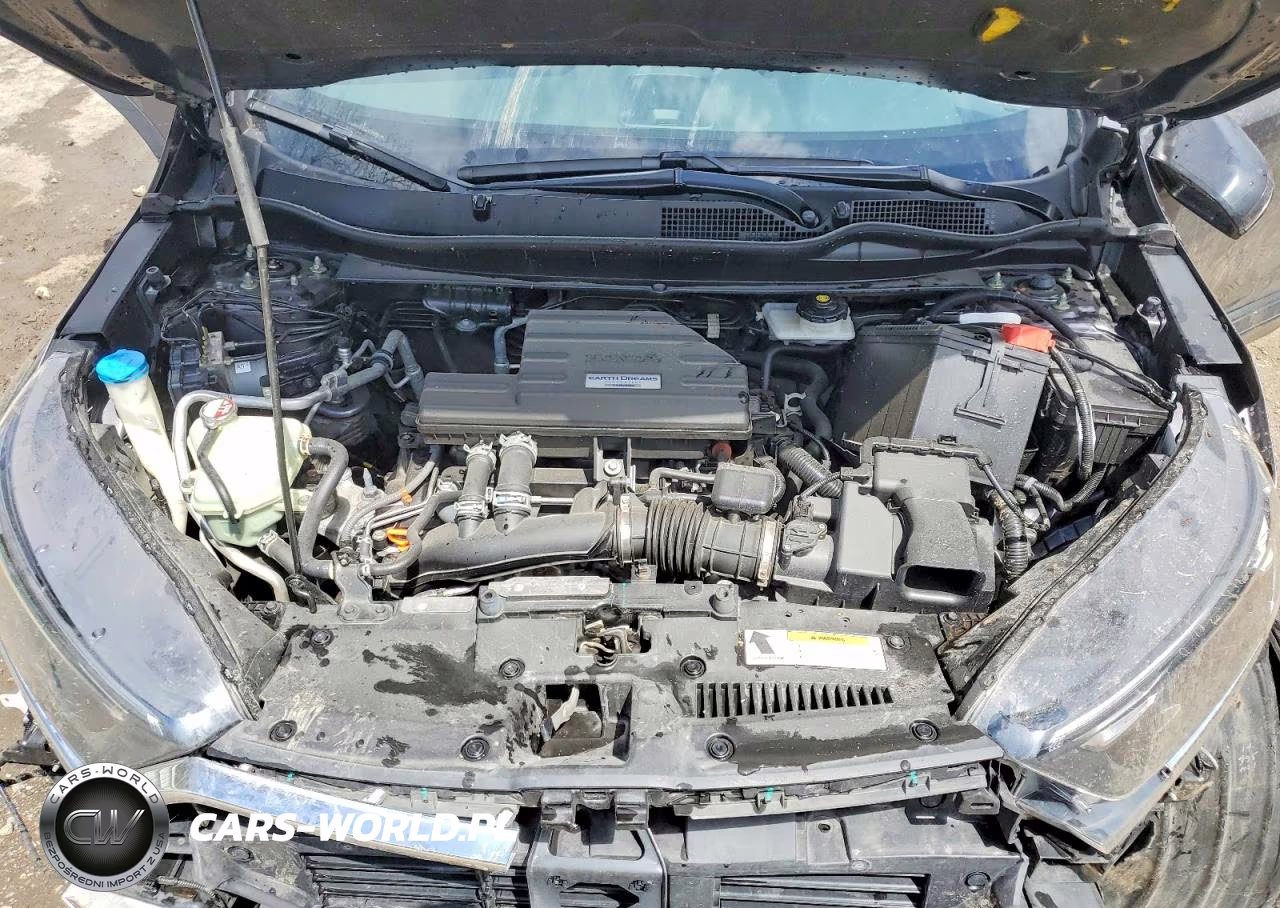 2019 Honda Cr-V Exl VIN:JHLRW2H80KX004655 - 12