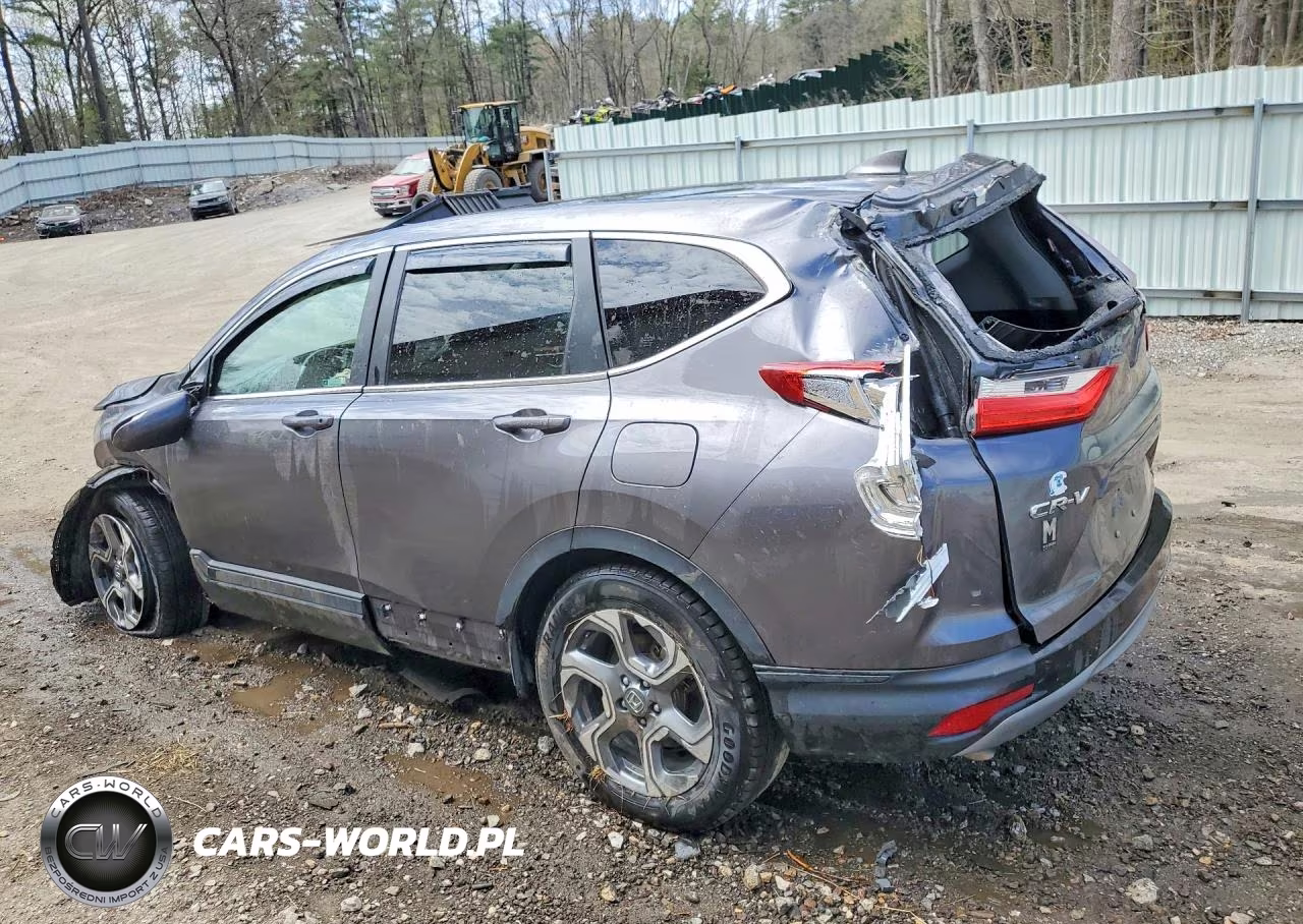 2019 Honda Cr-V Exl VIN:JHLRW2H80KX004655 - 2