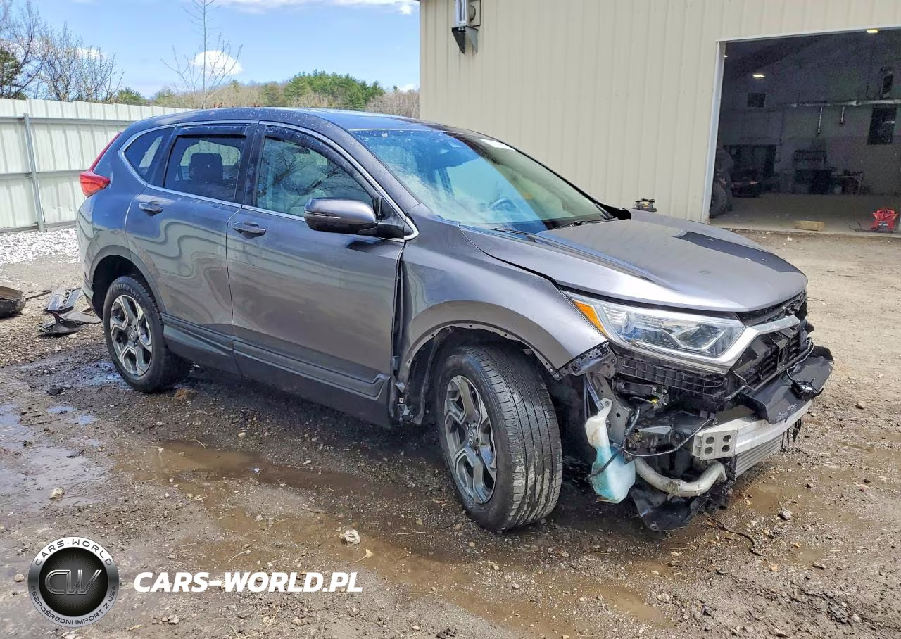 2019 Honda Cr-V Exl VIN:JHLRW2H80KX004655 - 4