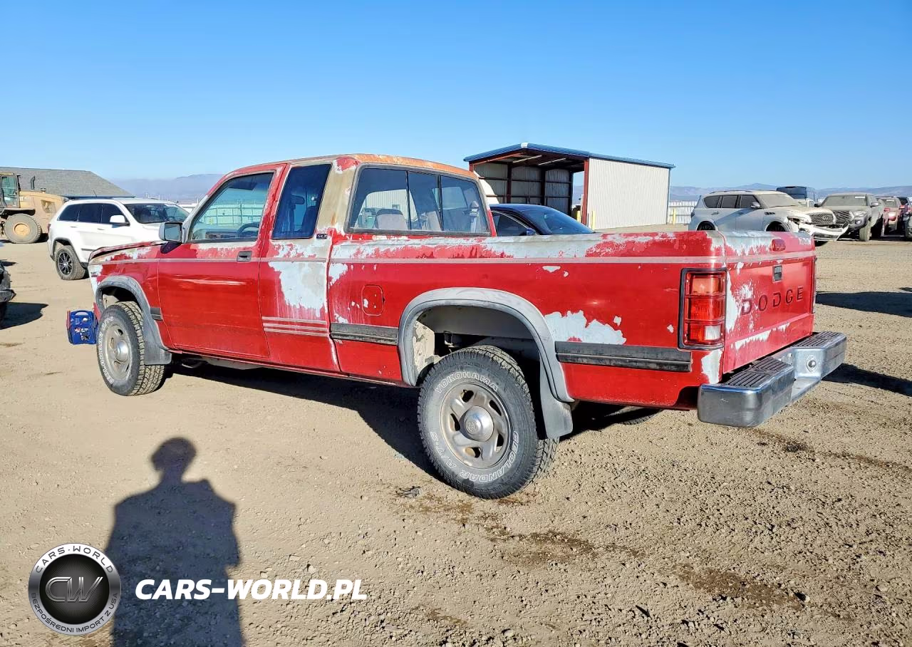 1994 Dodge Dakota VIN:1B7GG23Y9RS501977 - 2