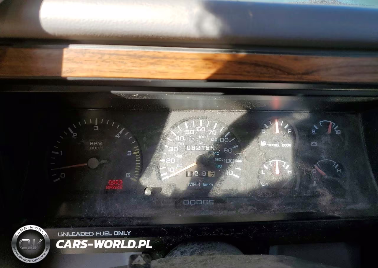 1994 Dodge Dakota VIN:1B7GG23Y9RS501977 - 9