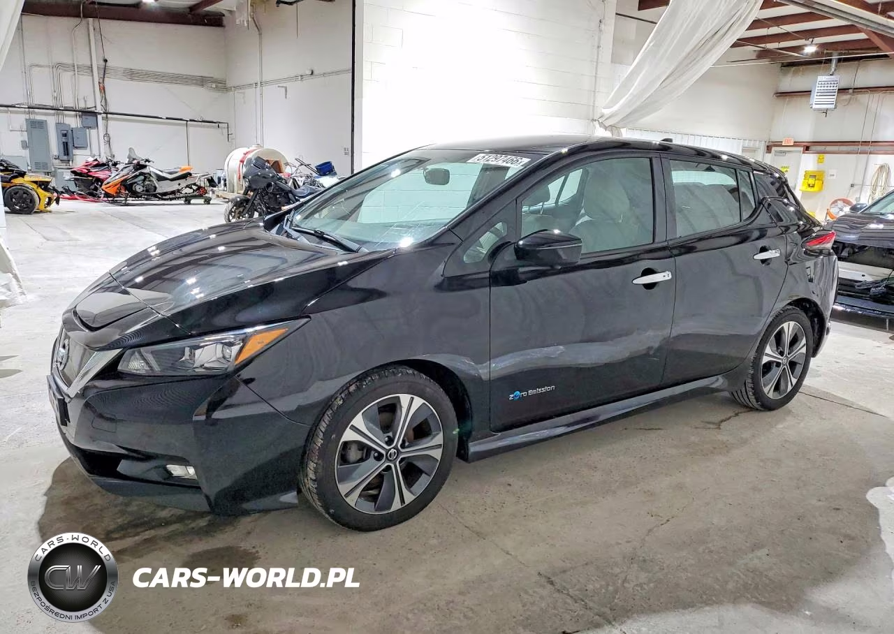 2019 Nissan Leaf Sl