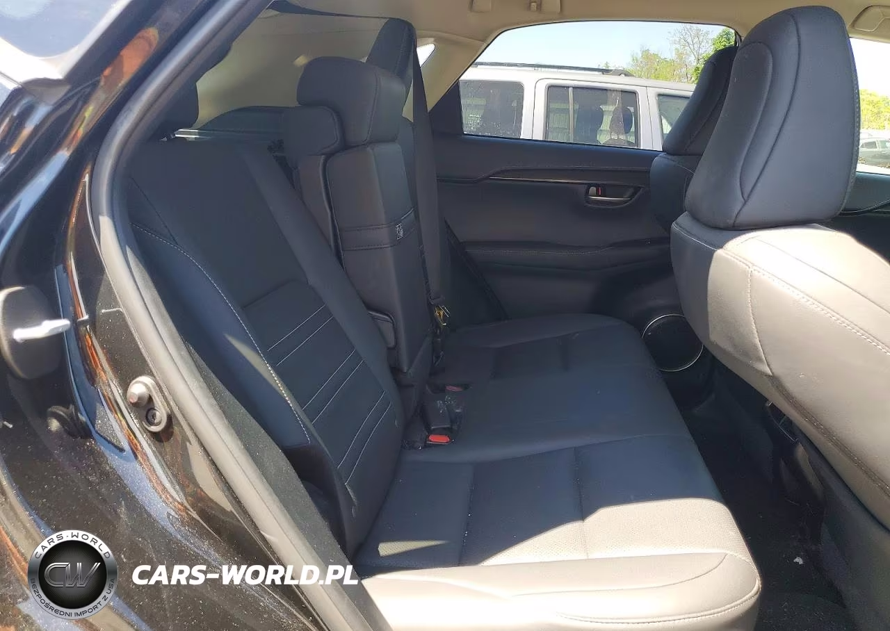2021 Lexus Nx 300 Base VIN:JTJDARDZ1M2251399 - 10