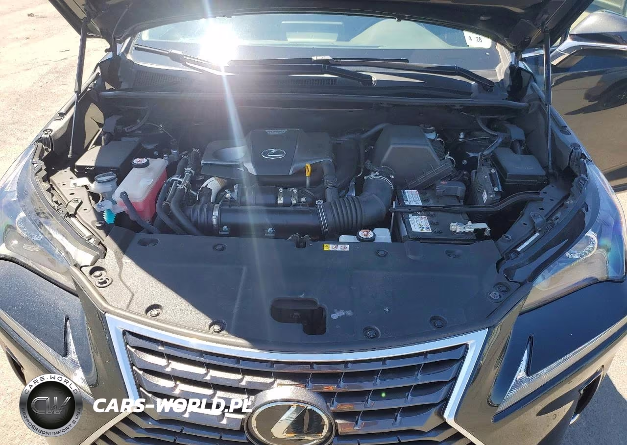 2021 Lexus Nx 300 Base VIN:JTJDARDZ1M2251399 - 11