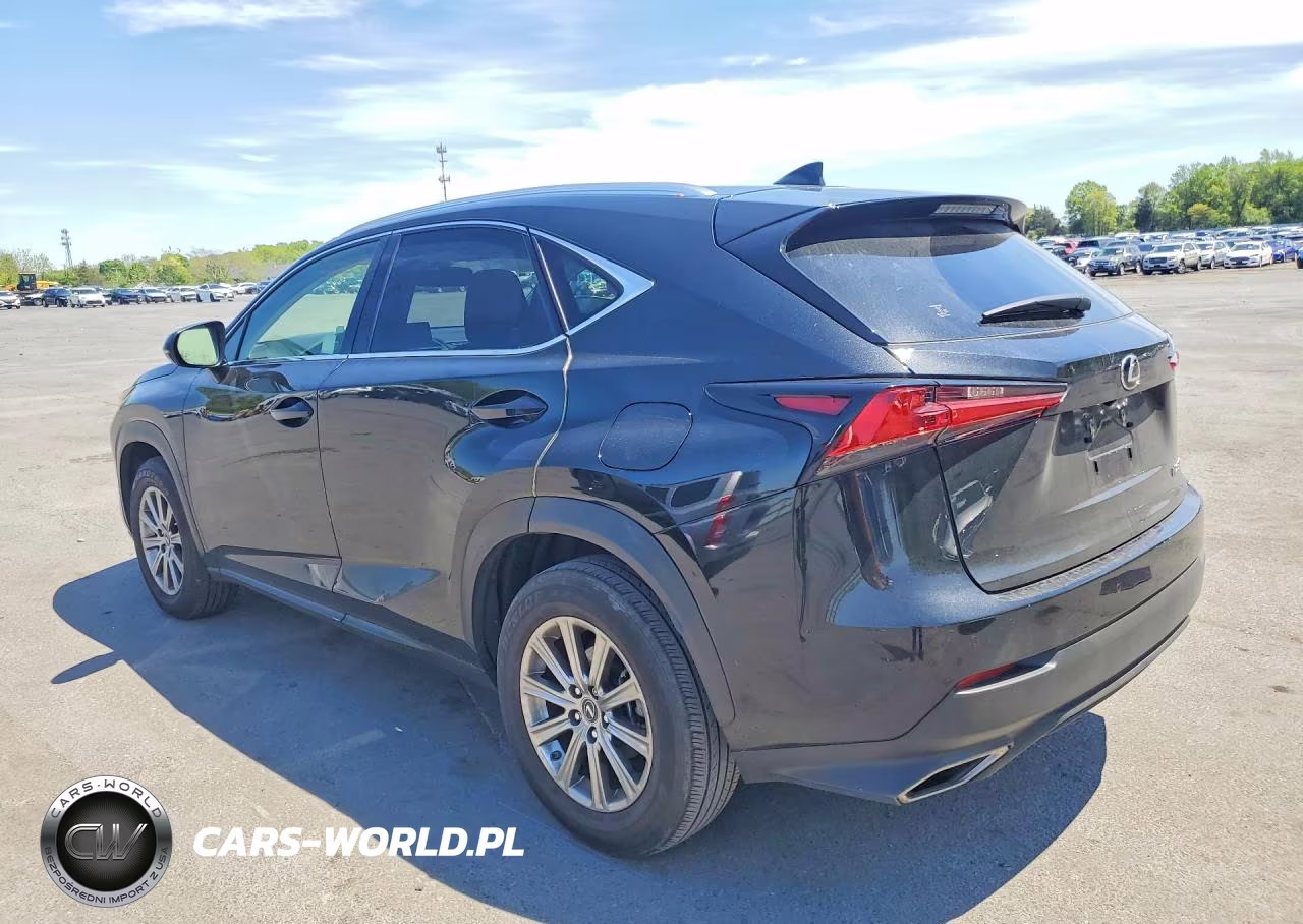 2021 Lexus Nx 300 Base VIN:JTJDARDZ1M2251399 - 2