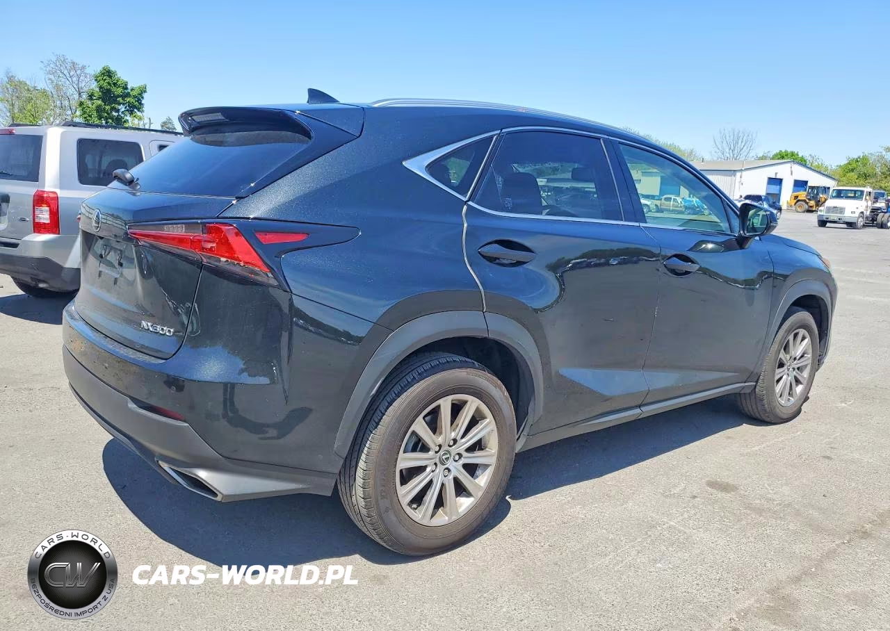 2021 Lexus Nx 300 Base VIN:JTJDARDZ1M2251399 - 3