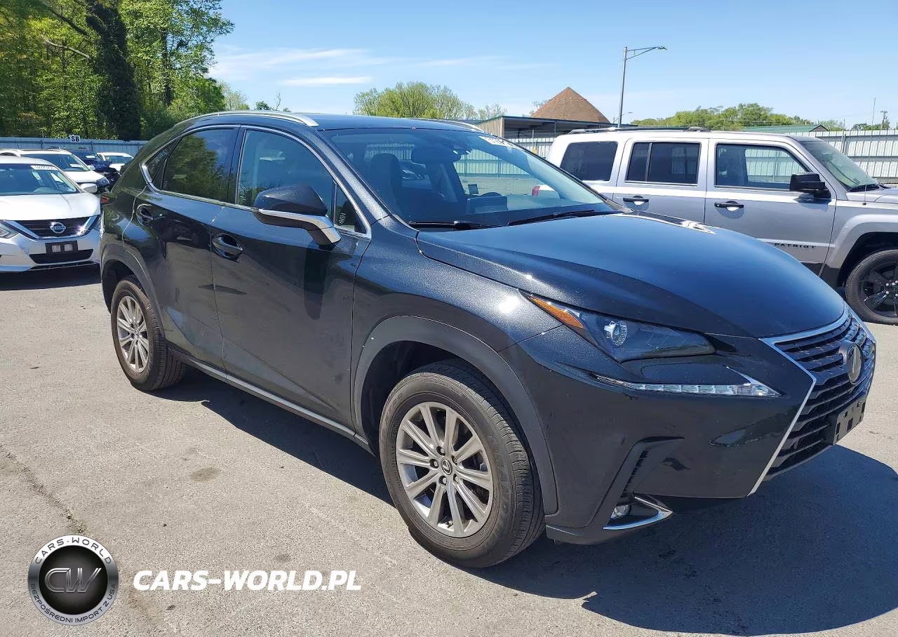2021 Lexus Nx 300 Base VIN:JTJDARDZ1M2251399 - 4