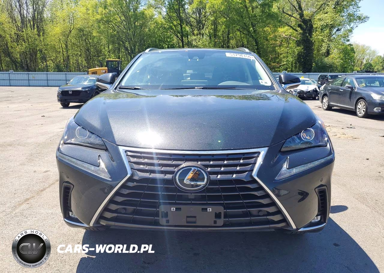 2021 Lexus Nx 300 Base VIN:JTJDARDZ1M2251399 - 5