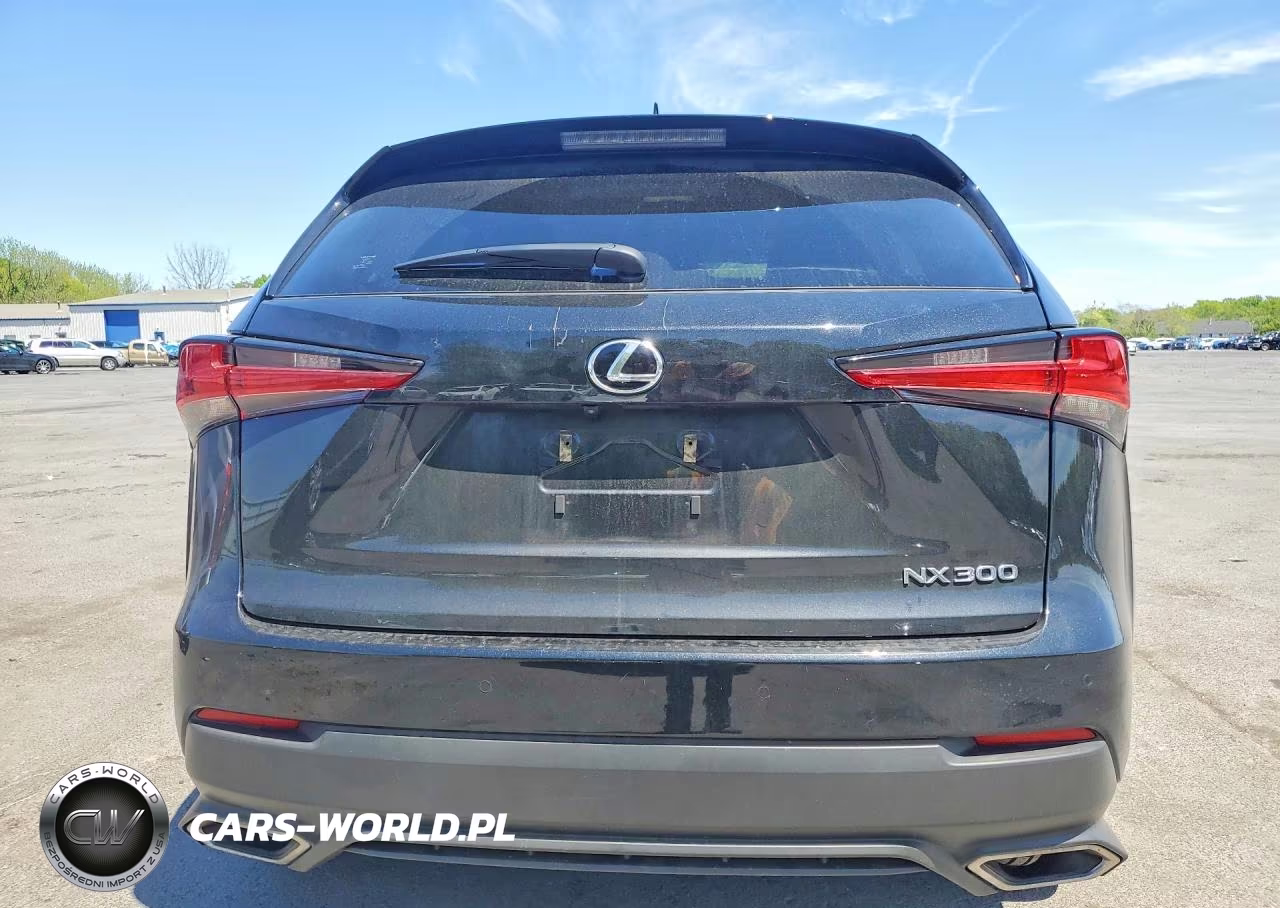 2021 Lexus Nx 300 Base VIN:JTJDARDZ1M2251399 - 6