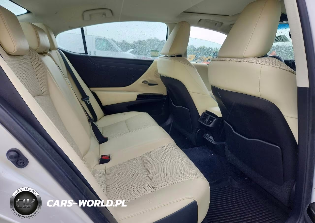 2022 Lexus Es 250 VIN:58AD11D12NU008418 - 10