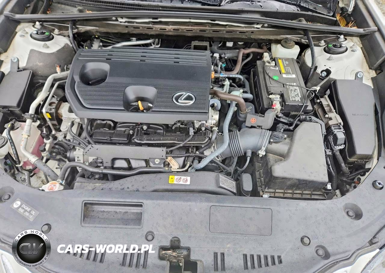 2022 Lexus Es 250 VIN:58AD11D12NU008418 - 11